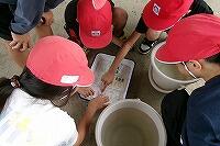 水質調査の様子