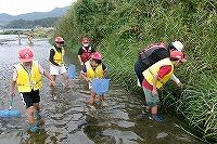 生物探しの様子