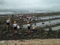 海の生き物探しの様子