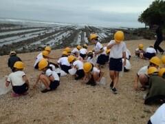 貝殻ひろいの様子