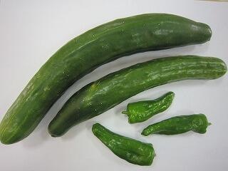 きゅうりとピーマン