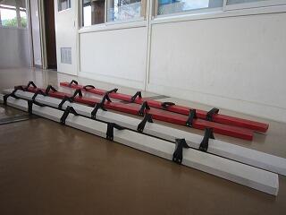 赤と白の「むかで」