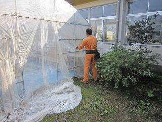 ビニルハウスの修理