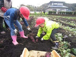 「大きいおいもだぁ～。」