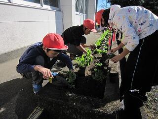 花いっぱいなあれ。