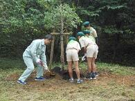 みどりの少年団２