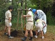 みどりの少年団3 みどりの少年団3