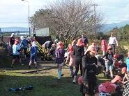 花の苗植え1 花の苗植え1