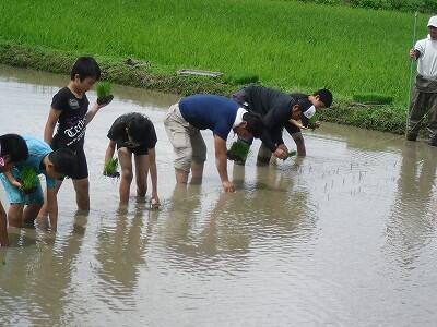 田植え５