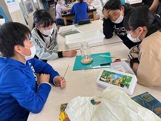 ろうそくの火を観察する児童