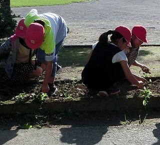 グリーンタイム②