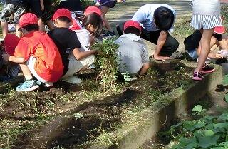 グリーンタイム