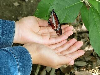 大淀川学習館③ 大淀川学習館③