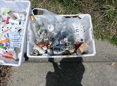 アカウミガメ清掃➁