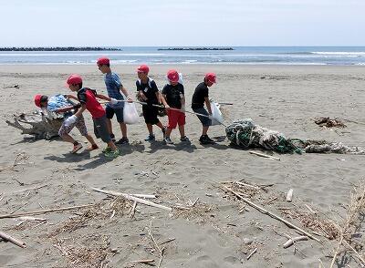 アカウミガメ清掃③