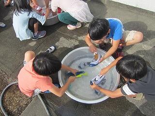 うわばきあらい１