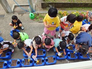 種をまいて水まきの様子