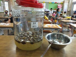 完成した梅ジュース