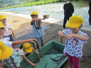 うなぎを触る子ども