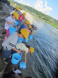 放流する子ども