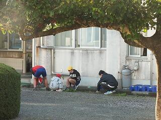 草抜きをする６年生