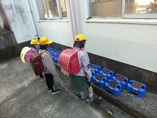 まだ日陰で育てます