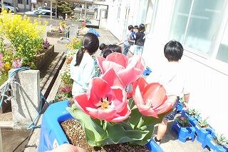 チューリップアップ