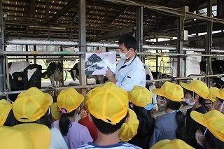 乳牛についての説明を真剣に聞く児童