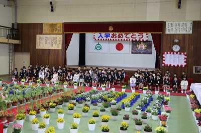 にゅうがくしき