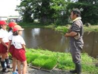 田植えの様子1