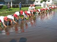 田植えの様子2