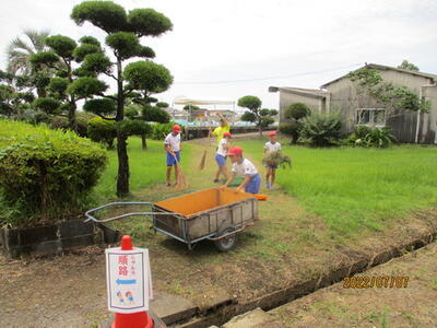 通路の草取りの様子
