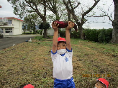 芋がやっと取れた様子（２年生）