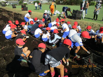 みんなで掘りました