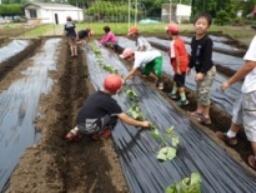 いも植え　４年