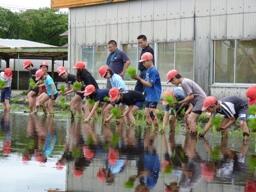 楽しい田植え