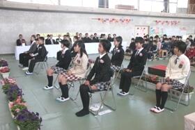 引き締まった顔、顔、顔