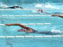 自由形の力泳