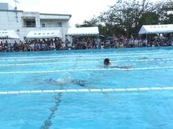 声援を送る観客と力泳する選手 声援を送る観客と力泳する選手