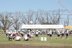 1年玉入れ 1年玉入れ