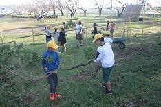 みんなで枝などを捨てる活動をしました。