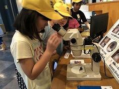 ３年大淀川学習館