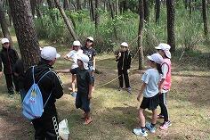 追跡ハイキング