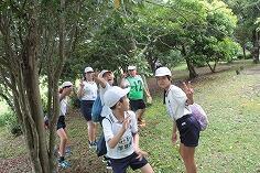 フィールドアスレチック