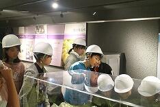 トンネル内見学中