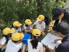 水辺調査のようす