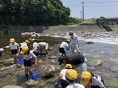 水辺調査のようす