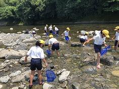 水辺調査のようす