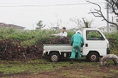 すごい量の草や倒木や・枝