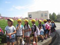 １年･ルピナスパーク